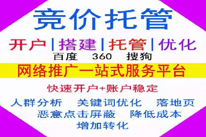 百度推广实战：案例分享与数据解读